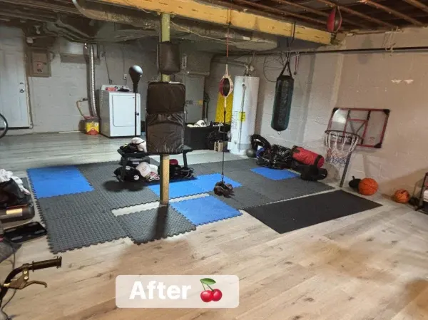 Basement cleaning 