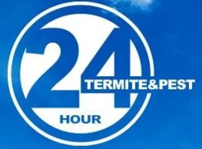 24 Hour Termite