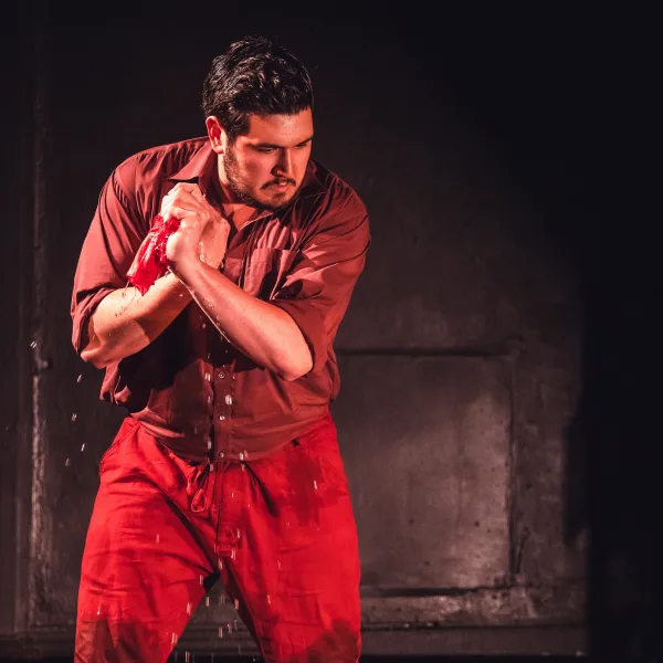 Don José in Carmen