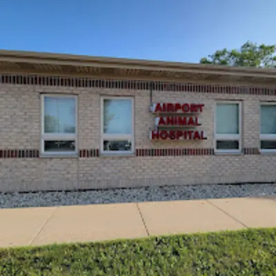 Airport Animal Hospital