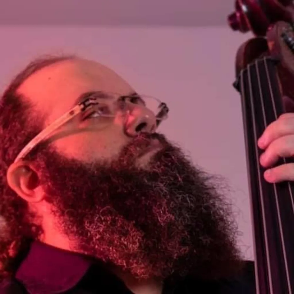 Double Bass, Electric Bass, And Music Theory Lessons