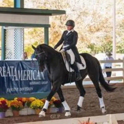 Chesley Brook Stables