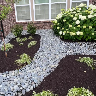 Newlook Landscape 