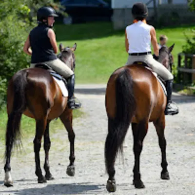 JPh Equestrian, LLC