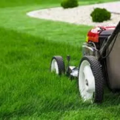 Incredible Lawn Care