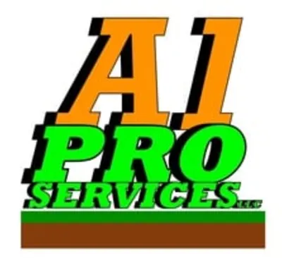 A1 Pro Services Llc