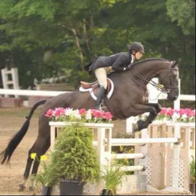 Sea Horse Stables LLC