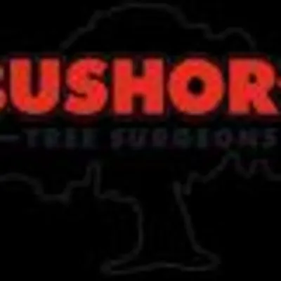 Bushor's Tree Surgeons