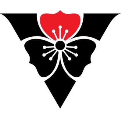 Novo Brothers Academy