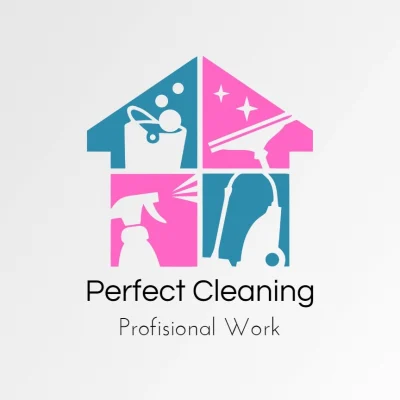 Perfect Cleaning Professional Work