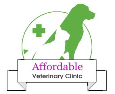 Affordable Veterinary Clinic