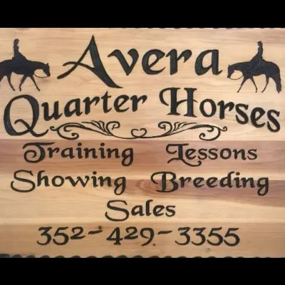Avera Quarter Horse