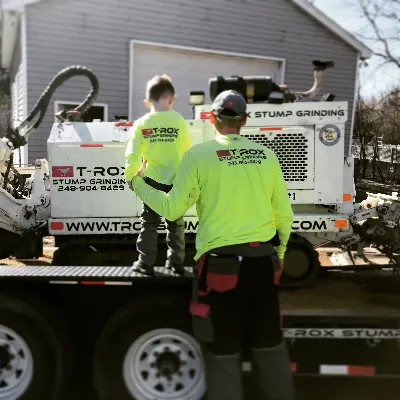 $300.00 Minimum Each Plow Event T-Rox Stump Grinding