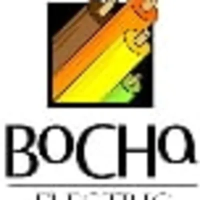 Bocha Electric