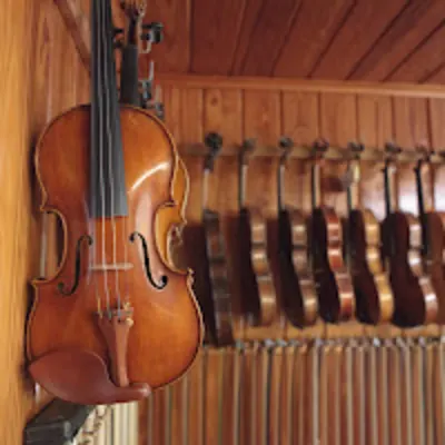 Cornell Strings