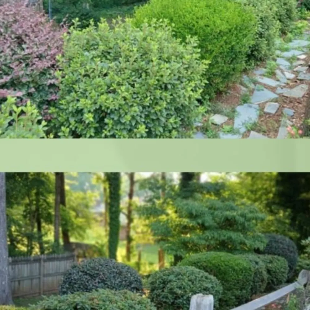 SkapeX Landscaping And Irrigation