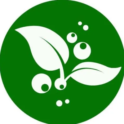 Green Streak Cleaners