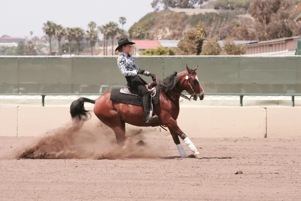 Cutter Horse Demo