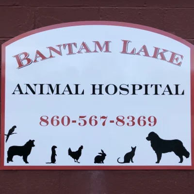 Bantam Lake Animal Hospital