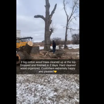 Montucky Arborists