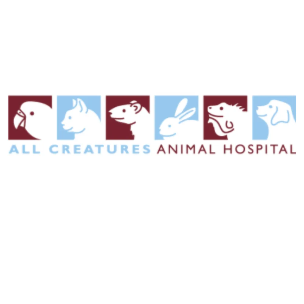 All Creatures Animal Hospital