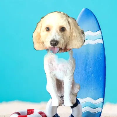 Shinning Love 4 Pet Salon