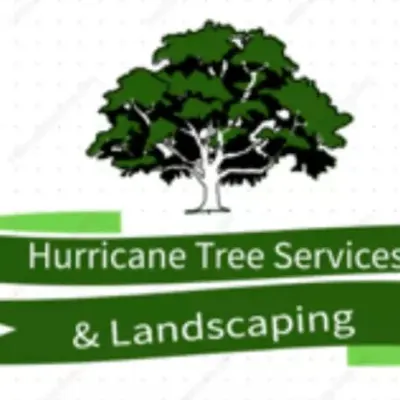 Hurricane Tree Services & Landscaping