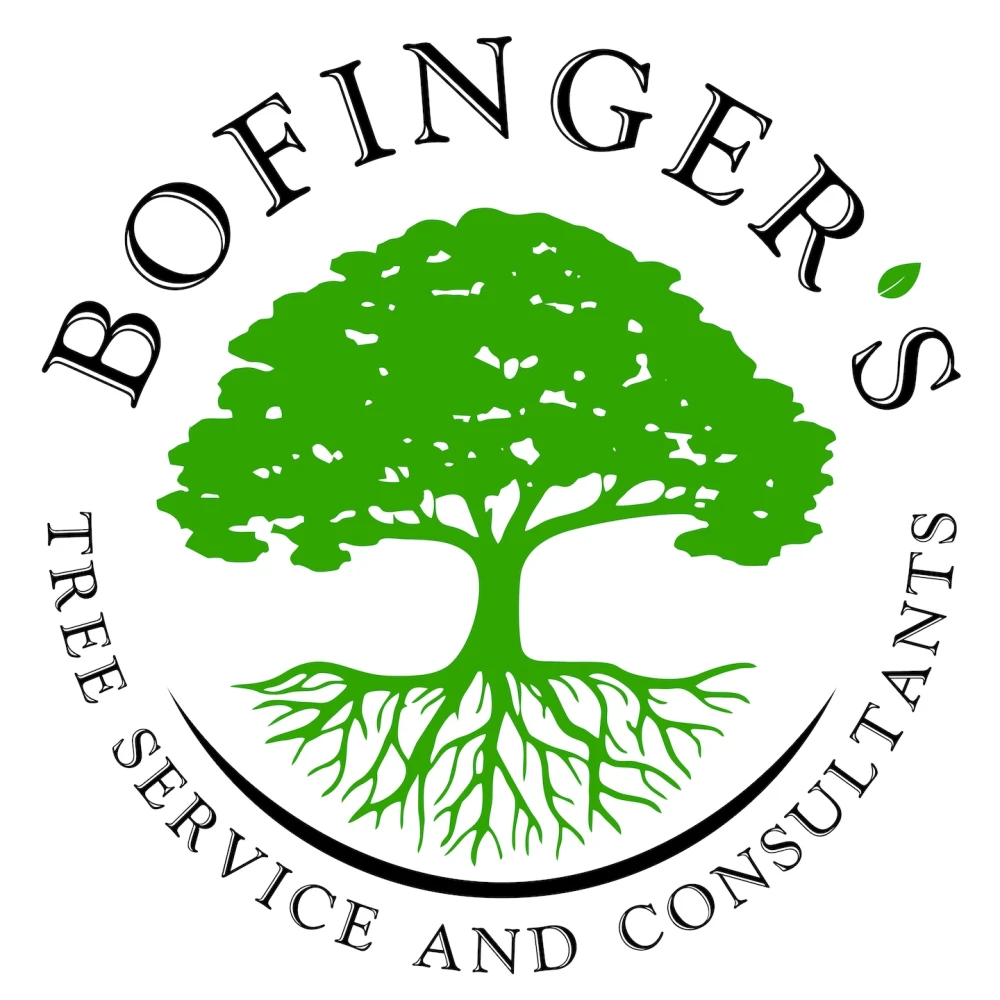 Bofinger's Tree Service And Consultants