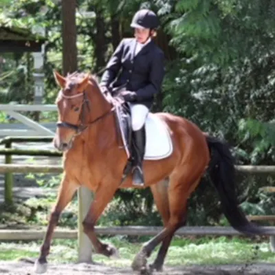 Juliane Henry’s Equestrian