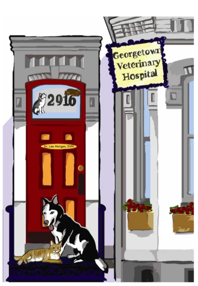 Georgetown Veterinary Hospital