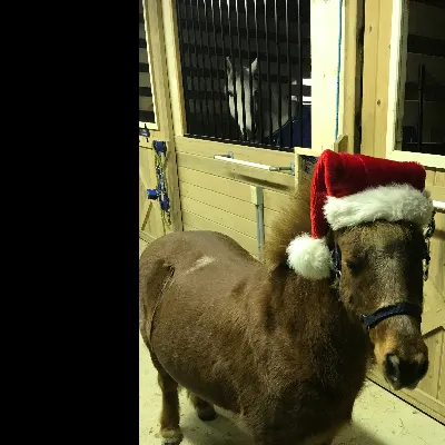 CreekSide Stables