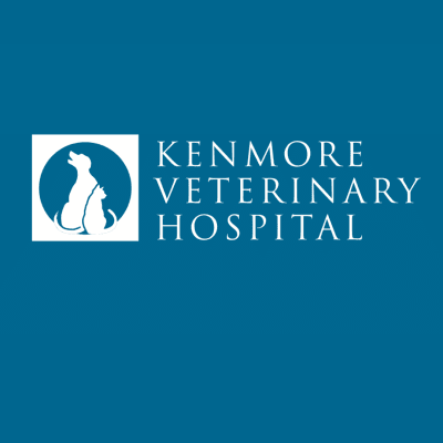 Kenmore Veterinary Hospital