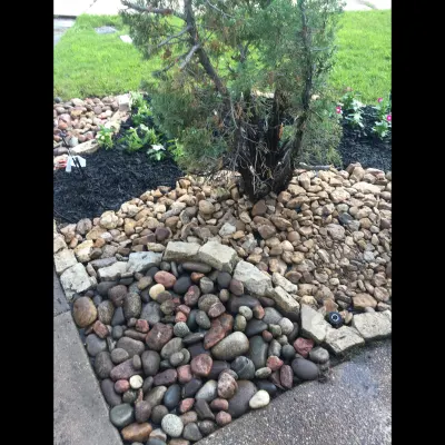 Avila Landscaping 