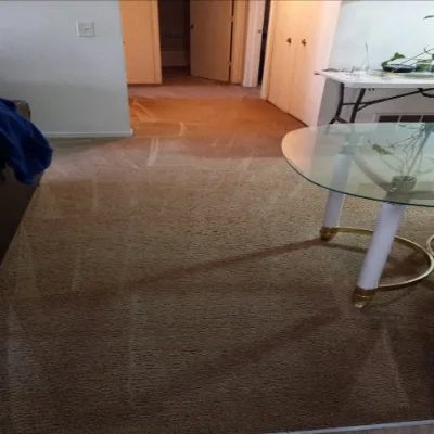 Bubbles-n-steam Carpet Cleaning