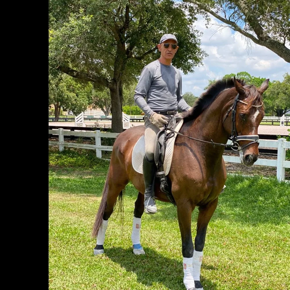 Arcangel's Boarding And Riding Horse Farm