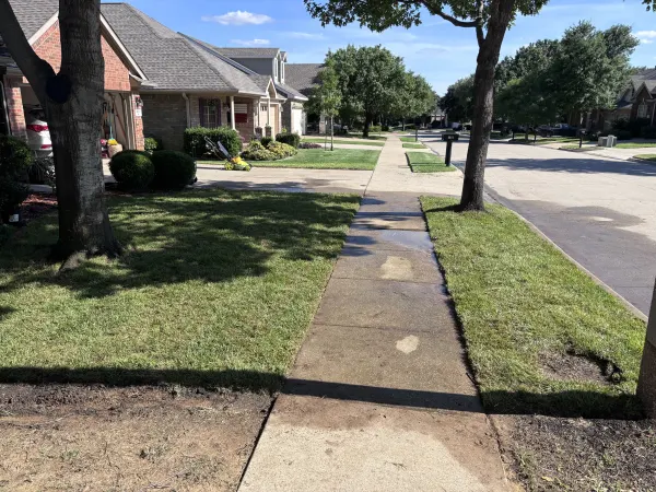 Palisades Zoysia Sod Installation in Denton , Texas 