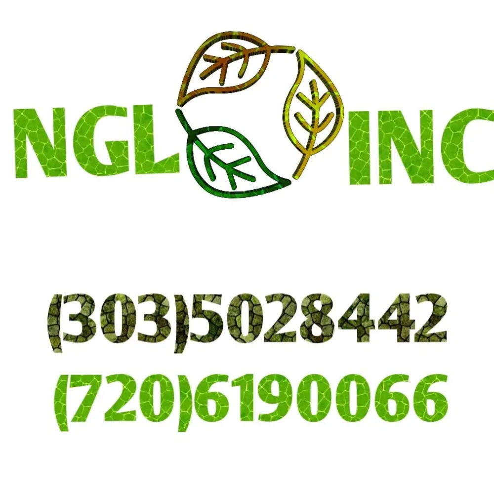 NGL INC