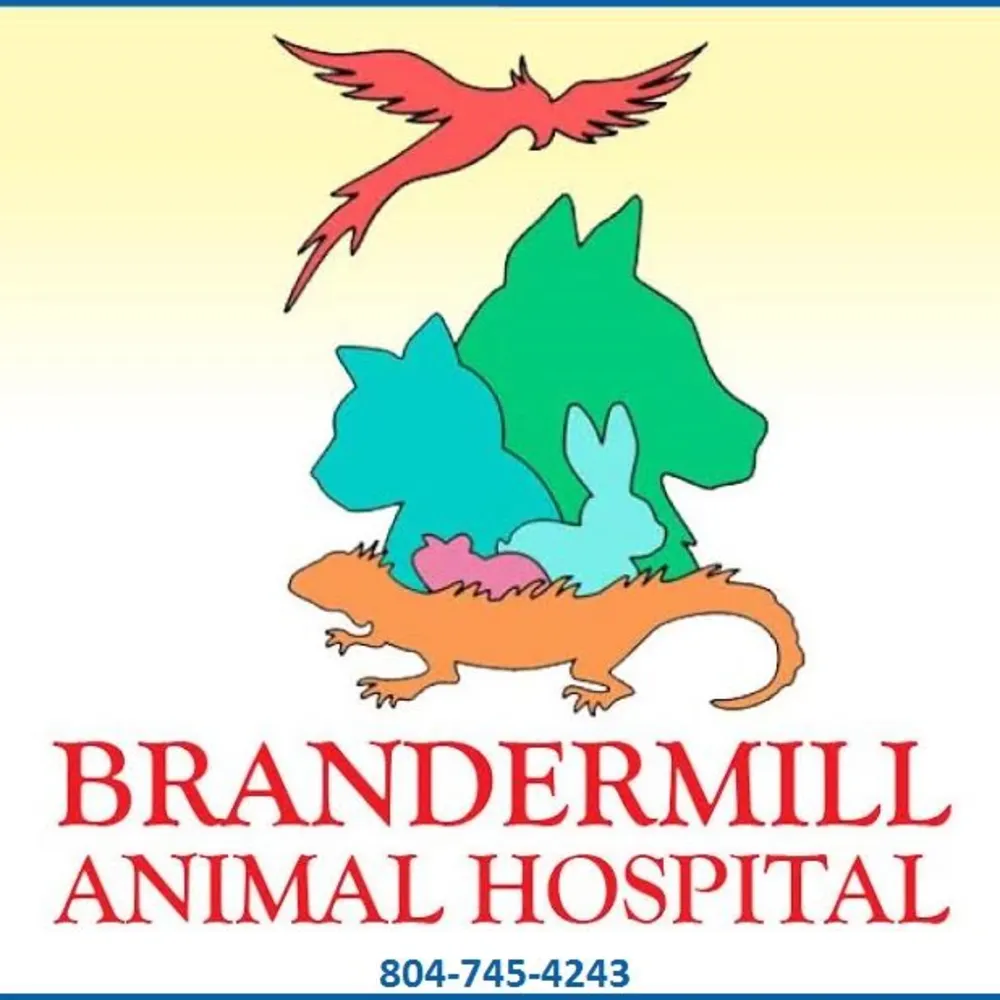 Brandermill Animal Hospital