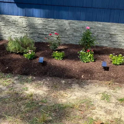 Explore Landscaping