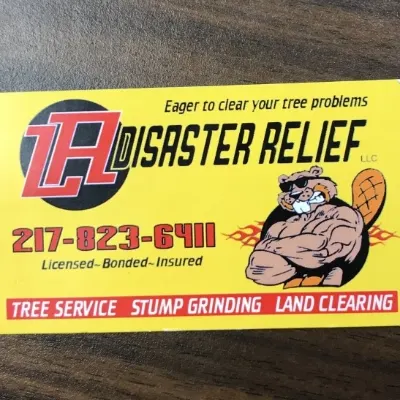 L.A. Disaster Relief, LLC