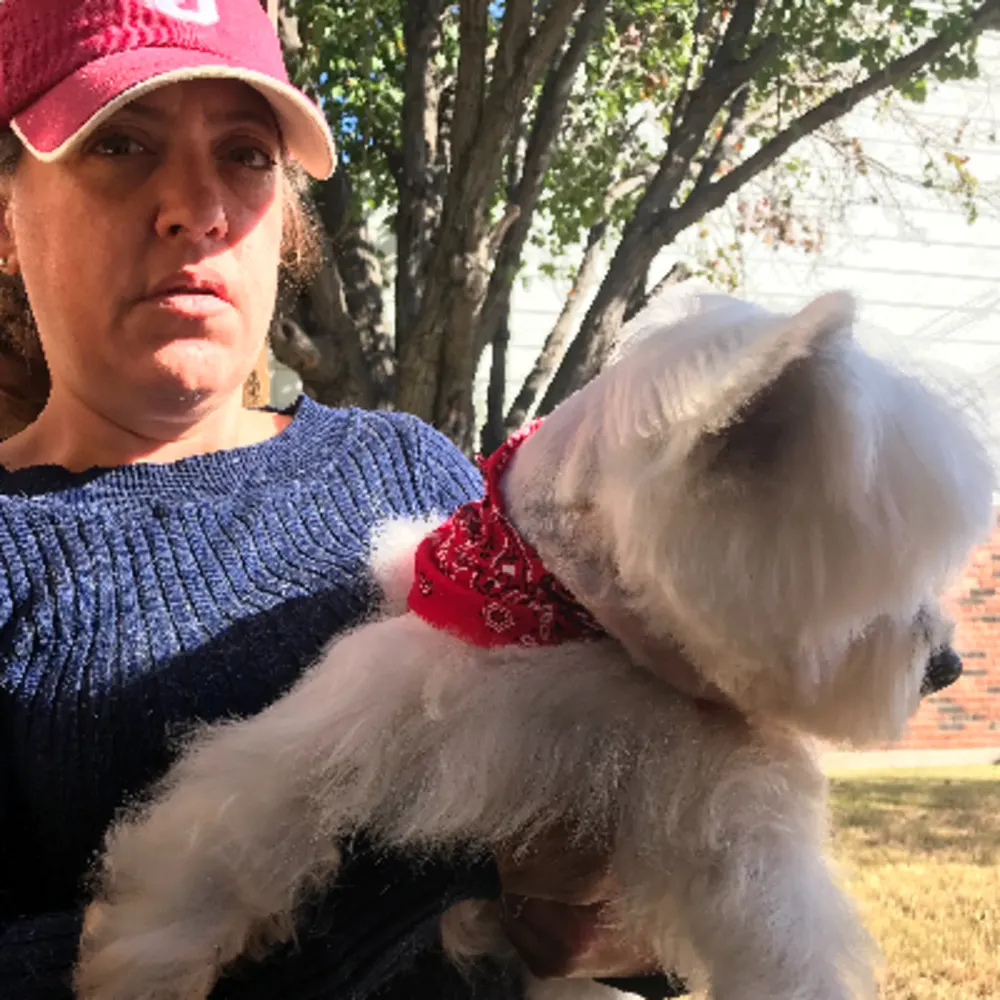 Affordable Dog Grooming