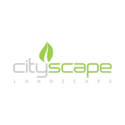 Cityscape Landscape