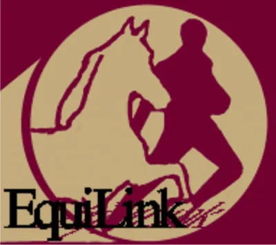 Equilink Inc