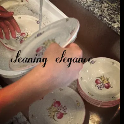 Cleaning Elegance 