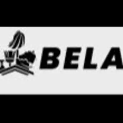 Bela Cleaning Services