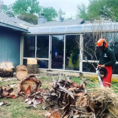JP TREE SERVICES LLC 