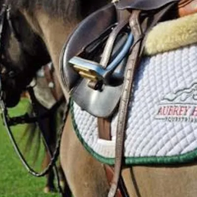 Aubrey Hill Equestrian