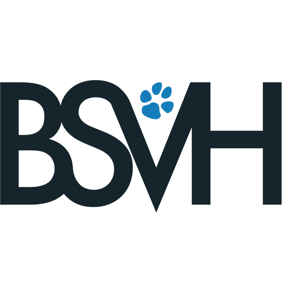Broad Street Veterinary Hospital