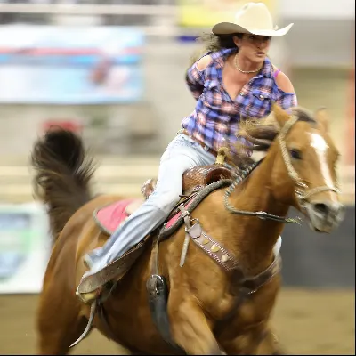 Cloverleaf Ranch And Stables