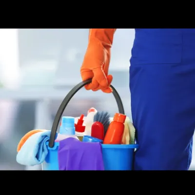 Luciene's Cleaning
